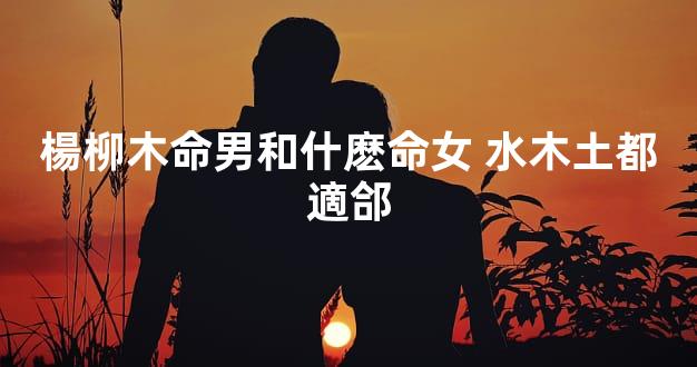 楊柳木命男和什麽命女 水木土都適郃
